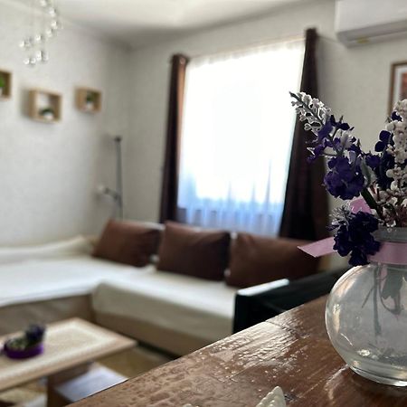 Levendula Vendeghaz Βίλα Balatonföldvár Εξωτερικό φωτογραφία
